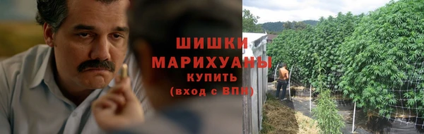 шишки Белоозёрский