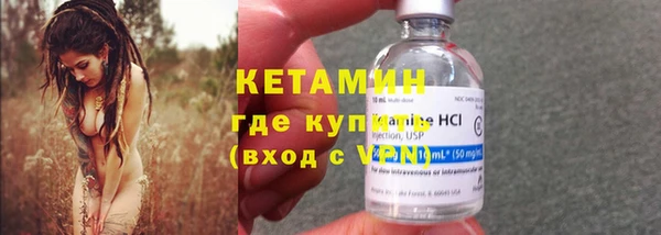 шишки Белоозёрский