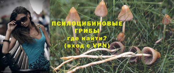 шишки Белоозёрский