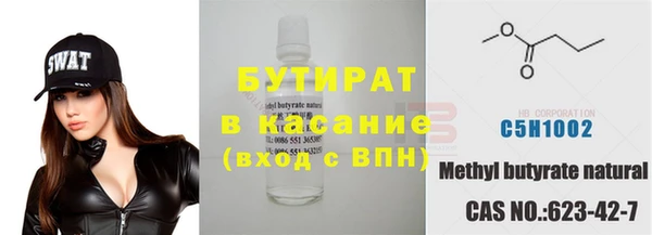 шишки Белоозёрский