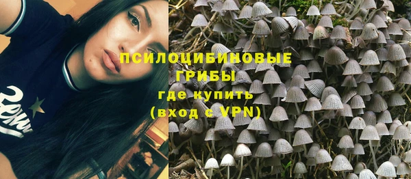кокаин премиум Белокуриха