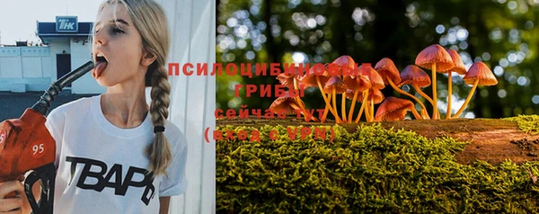 кокаин премиум Белокуриха