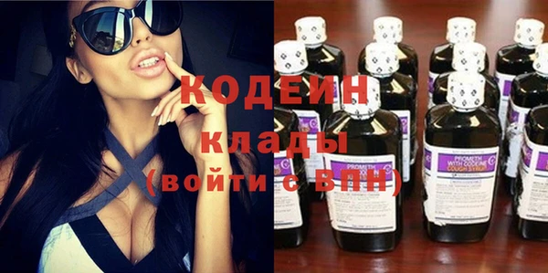 шишки Белоозёрский