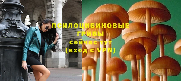 шишки Белоозёрский